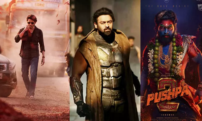 Bonanza Of Stars In 2024!