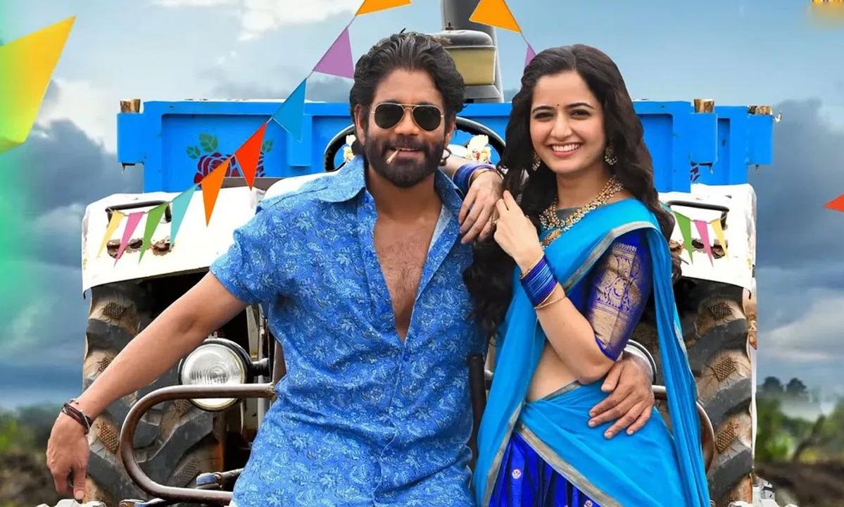 King Nagarjuna's Naa Saami Ranga Reaches Breakeven In 8 Days, Grosses ...