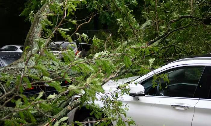 3 Indian-origin students killed in a car crash in US | 3 Indian-origin ...