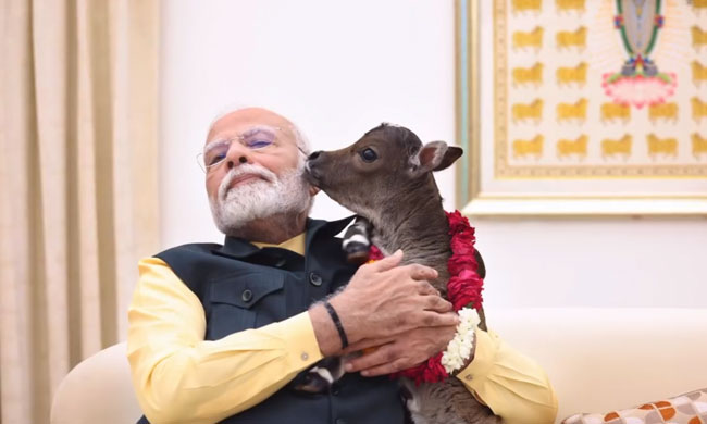 Deep Modi PM Modi Reveals New Member 'Deepjyoti' To Everyone! | PM Modi Reveals ...