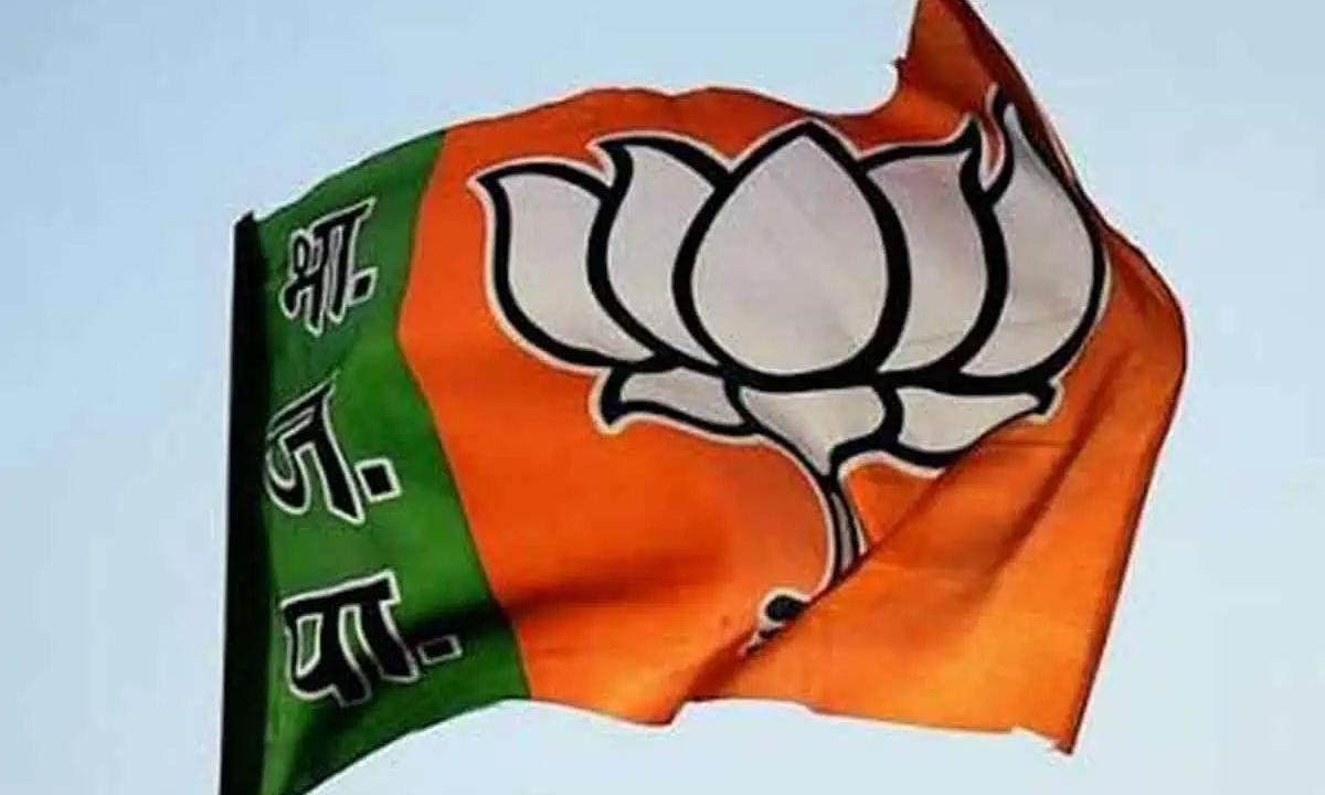 BJP Tops National Party Earnings in 2023-24, Supreme Court Halts ...
