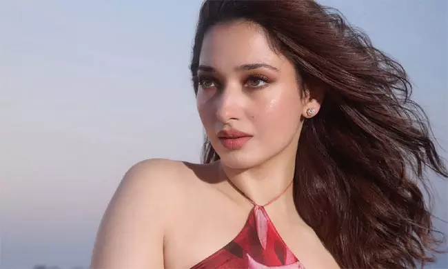 Why Are Kannada Fans Criticizing Tamannaah?