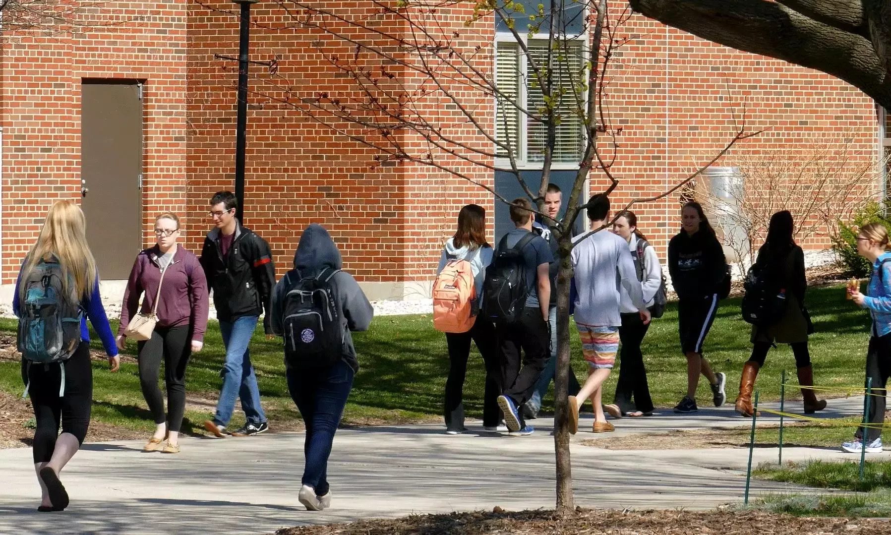 Skipping Classes in the US May Cost Students Their Visas