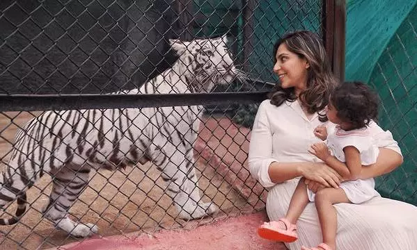 Meet The Tiger Named After Klin Kaara!