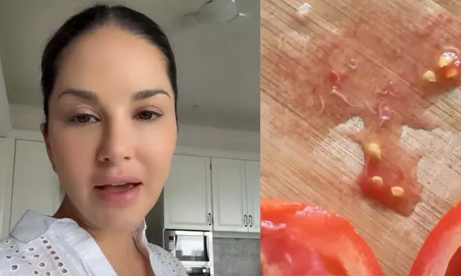 Sunny Leone Finds Insects Crawling In Kitchen