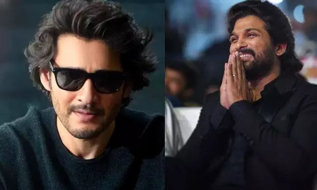 Mahesh – Bunny Choices Prove Box Office Gold