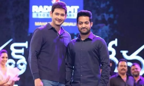 Mahesh Babu Was Correct, NTR Didn�t Listen!