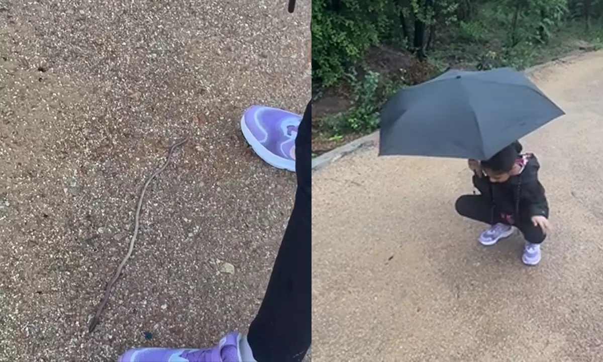 Allu Arjun Daughter Caught Snake Video Goes Viral