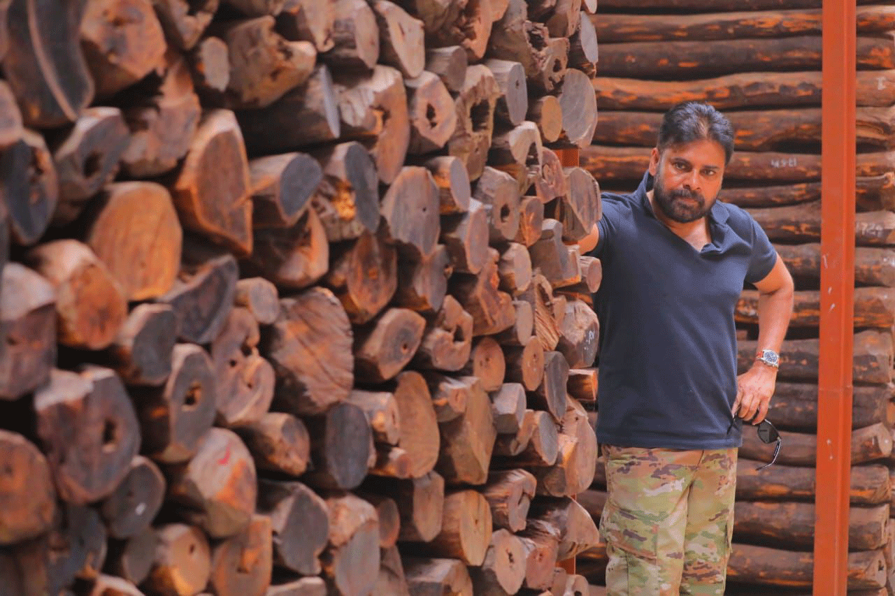 Beware Sandalwood Smugglers: Pawan Kalyan in Action