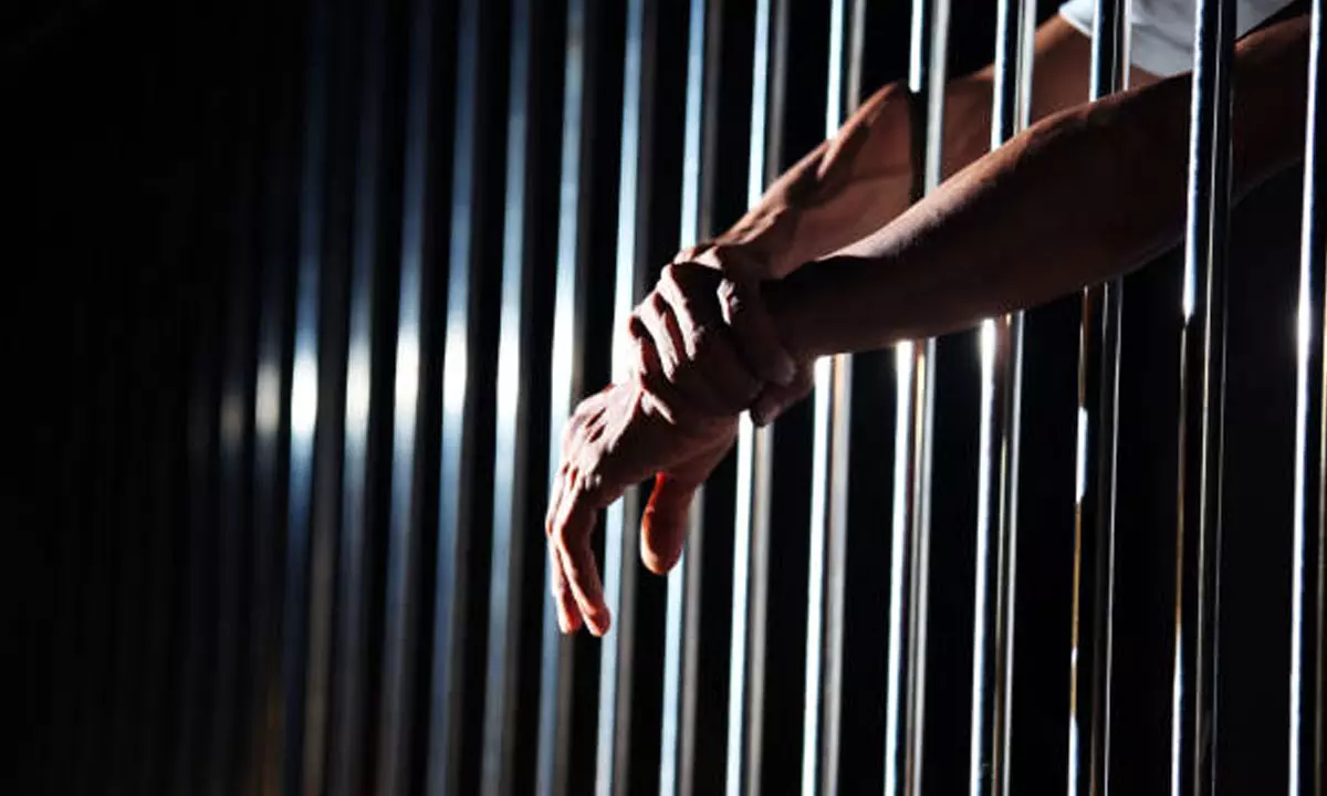 Telugu Student Gets 10 Yr Jail, 2 Cr Fine: What Happened?