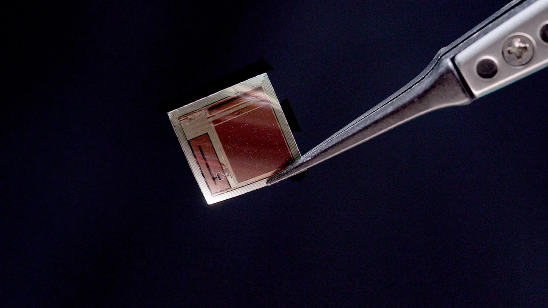 Psyche Chip OMG! A Brainchip That Streams Your Thoughts In Real Time! | OMG! A ...