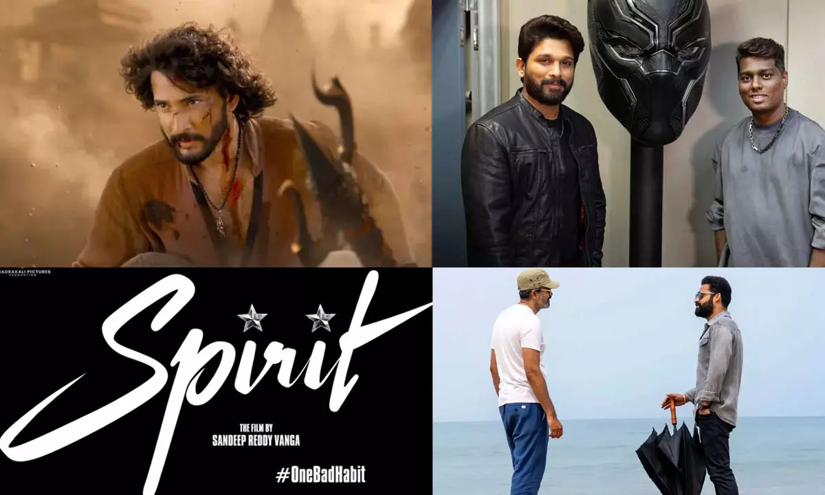 Summer 2027: Absolute Madness Loading!