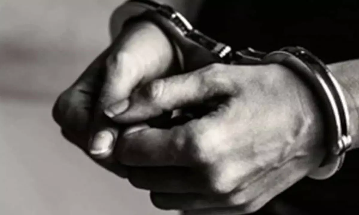 Indian Visa Fraud In US: 20 Months Jail And Deportation?