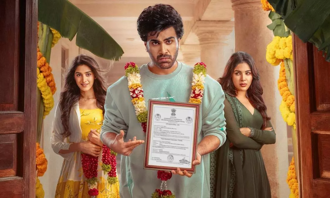 NNNM Peculiarity: Hit Talk But Low Returns, Why?