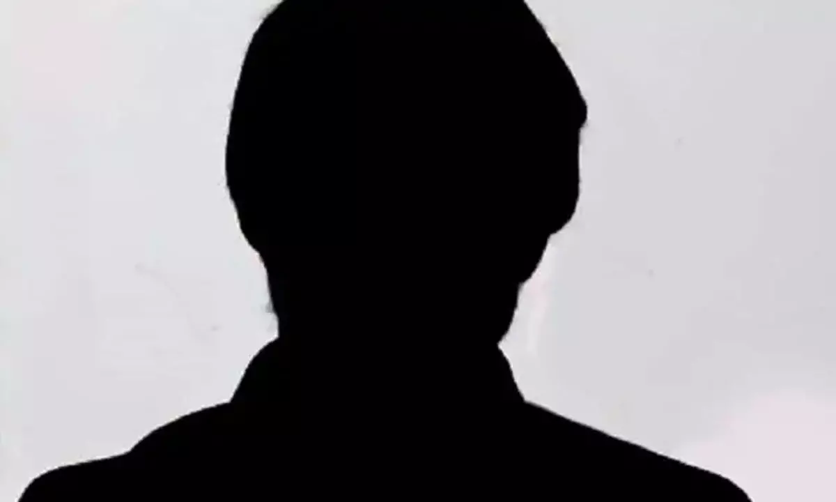 Big Hero Film on OTT: Why The Fake Hype!