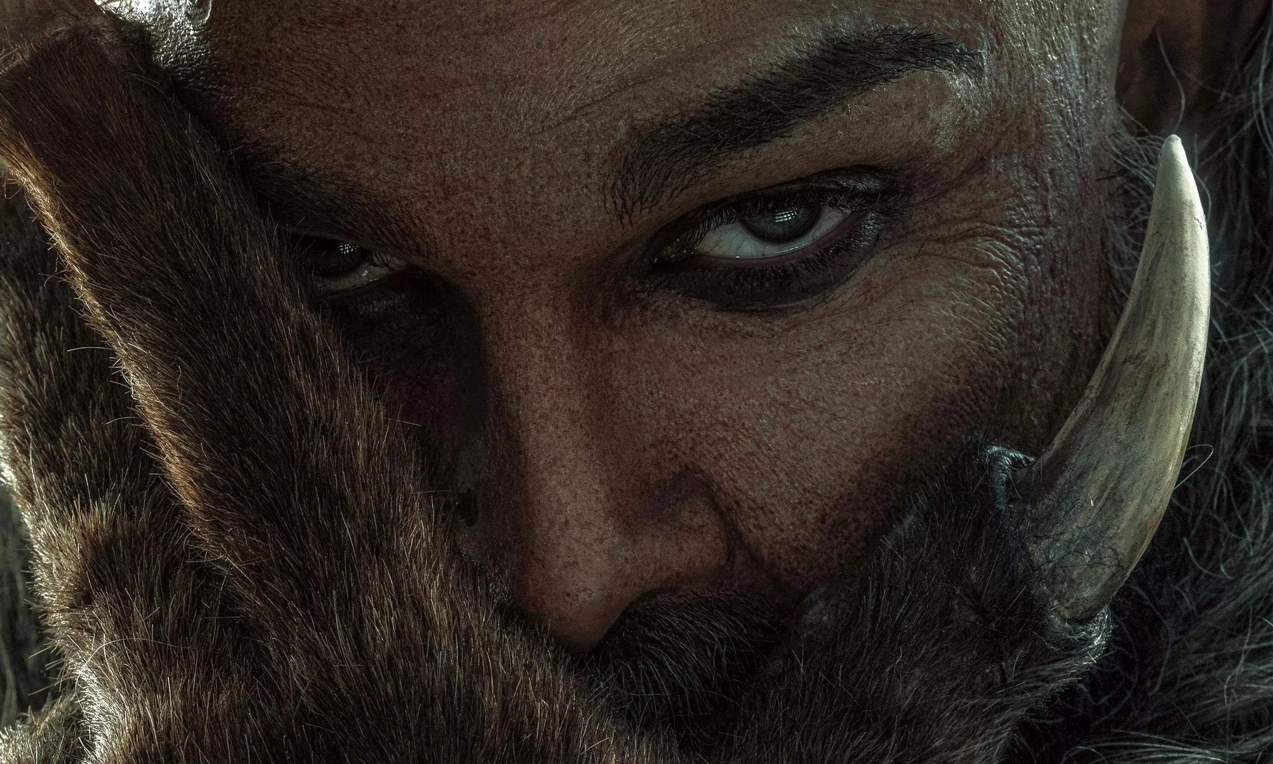 Sais Make Way For The King Wows Bunnys Fans