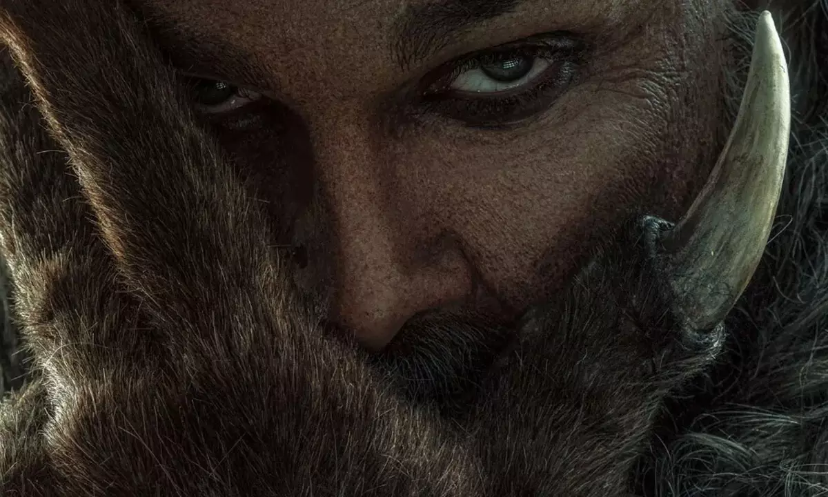 Many Wolves Following Allu Arjun’s Raaka