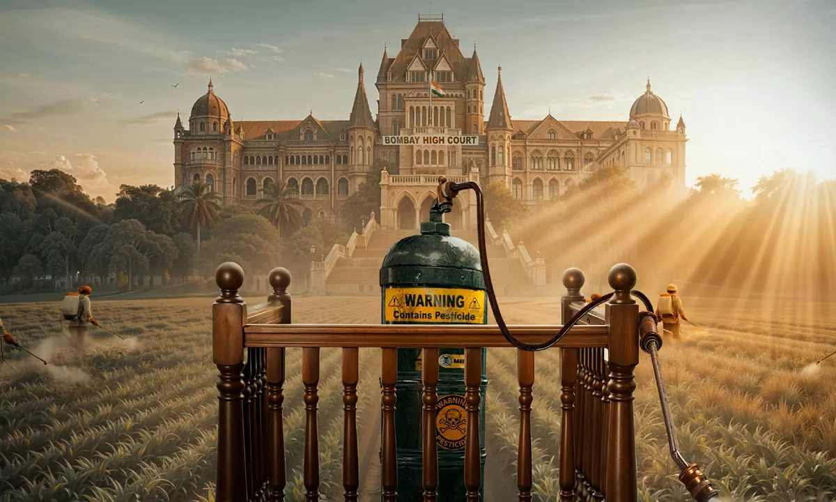 Kajal’s The India Story With A Burning Issue