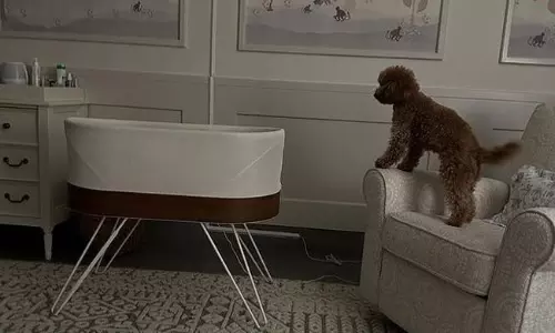 Kilnkaara Under Rhymes Protection At Night!