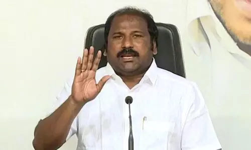 Even Pawan Kalyan Fans Get Schemes Through Volunteers!