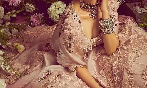 Delightful Photoshoot Of Hansika Motwani