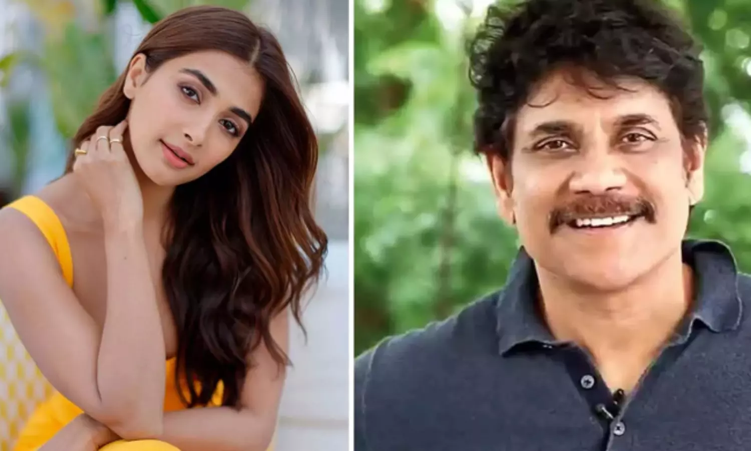 నాగార్జునను అన్న అనేసిన పూజా హెగ్డే..! నాగార్జునను అన్న అనేసిన పూజా హెగ్డే..!