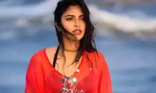 అమలా పాల్ ఏం చేసినా లాభం ఉండట్లేదు..!