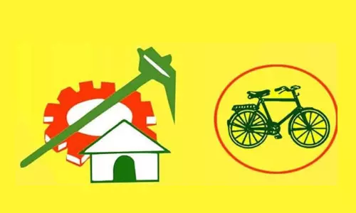 ఆ ఒక్క సర్వేతో టీడీపీ పులి అయిపోతోందా...?