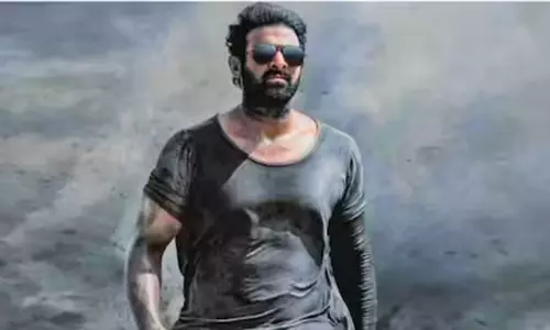 స‌లార్‌ ని టైగ‌ర్ ఆప‌లేదు కానీ ఇదొక్క‌టే ఆప‌గ‌ల‌దు