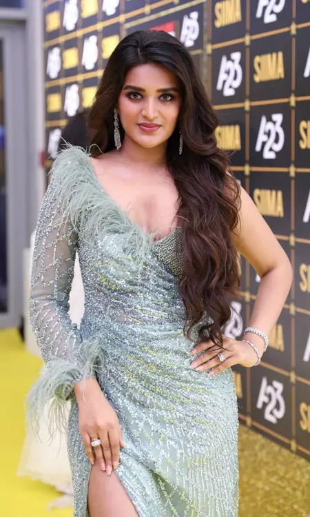 NEXA SIIMA Awards 2023 Ceremony In Dubai Was A Grand Star-studded Affair, Checkout List Of Winners