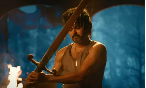 విజయ్.. ఈసారైనా మనోళ్ళని పలకరిస్తారా?