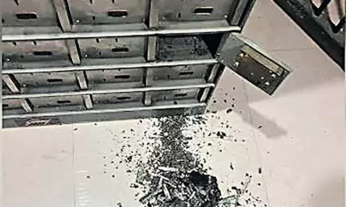 కుమార్తె పెళ్లి కోసం దాచుకున్న డబ్బులు చెదలు తినేశాయి!