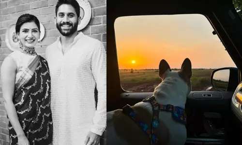 Fans Hope for Reunion as Naga Chaitanya Shares Snapshot of Samanthas Pet