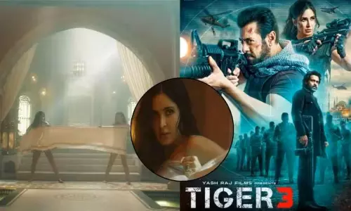 మూస‌లో టైగ‌ర్ వ‌ర్క‌వుట‌య్యేనా?