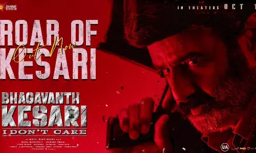 దడ దడ ఒకడే కేసరి.. వీడికి వీడేలే సరి