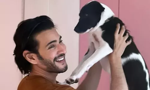 మ‌హేష్ ఇంట్లో ప్లూటో వార‌సుడు?