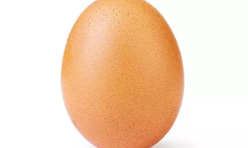 శతకోటి గుడ్లలో ఇది ఒక గుడ్డు... ఇన్‌  స్టాలో 4.9 మిలియన్ ఫాలోవర్స్‌!