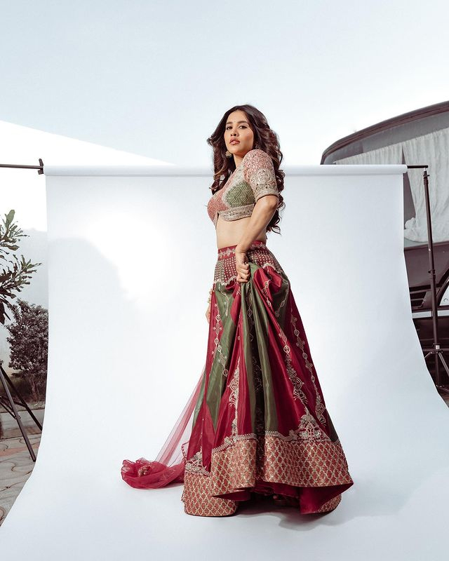 Delightful Diwali Wishes From Nabha In An Ethnic Saree!