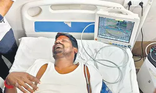 అర్థరాత్రి వేళ అచ్చంపేటలో ఏమైంది? గువ్వలకు అస్వస్థత!