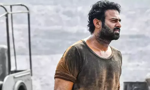 సలార్ లో అవి రెండే రెండు..