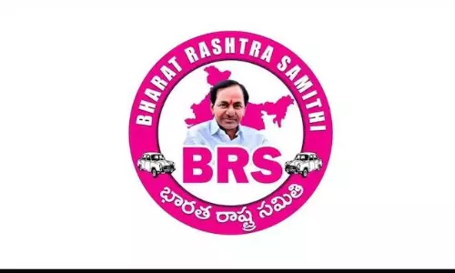 పీకుడు భాషేంది సార్లూ... బీయారెస్ లో ఏం జరుగుతోంది....?