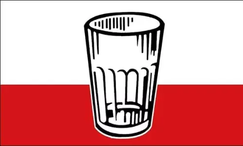 జనసేన గాజు గ్లాస్ ఎంత పని చేసింది?