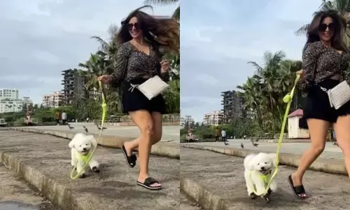 వీడియో: షామా సండే వైబ్స్