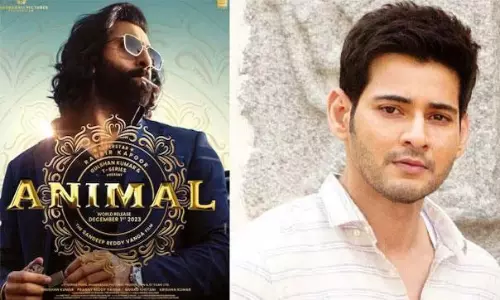 యానిమల్.. మహేష్ మరీ ఇంత మౌనమా?