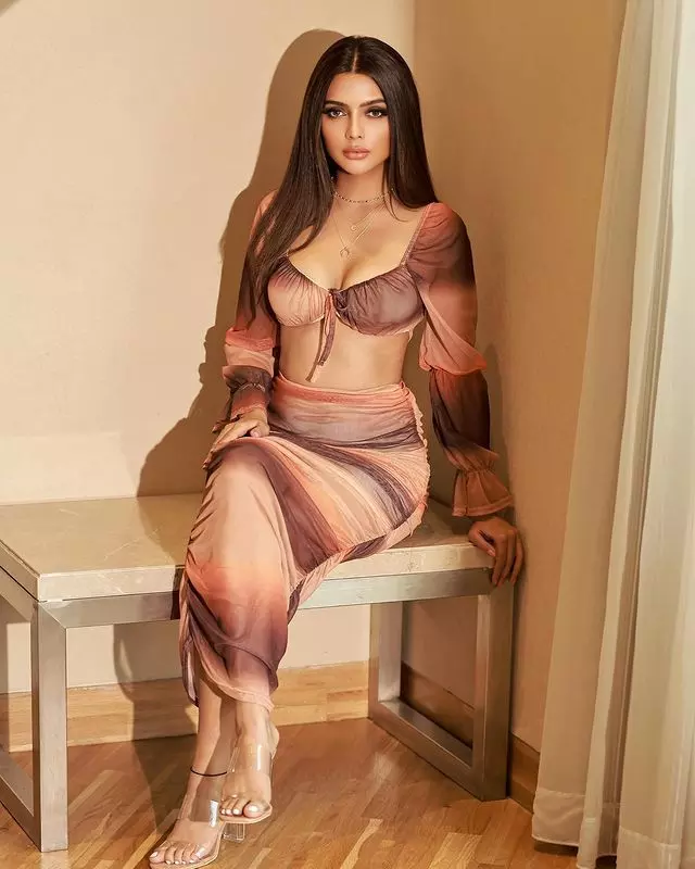 Ruhii Singhs Glamorous Dubai Celebrations