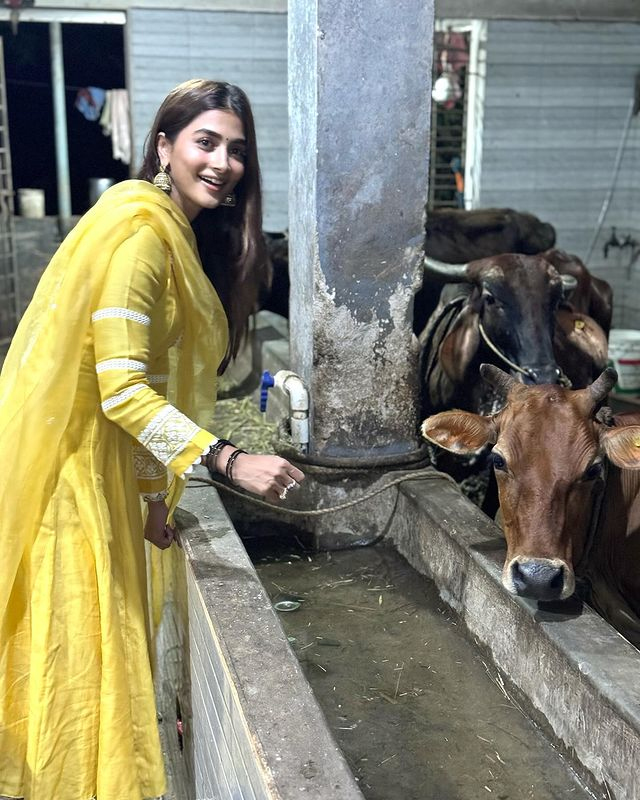 Pooja Hegdes 2023 Journey in Frames Pooja Hegdes 2023 Journey in Frames