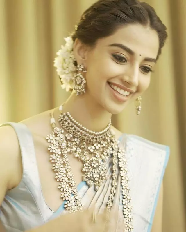 Delightful Meenakshi Dazzles In A Saree