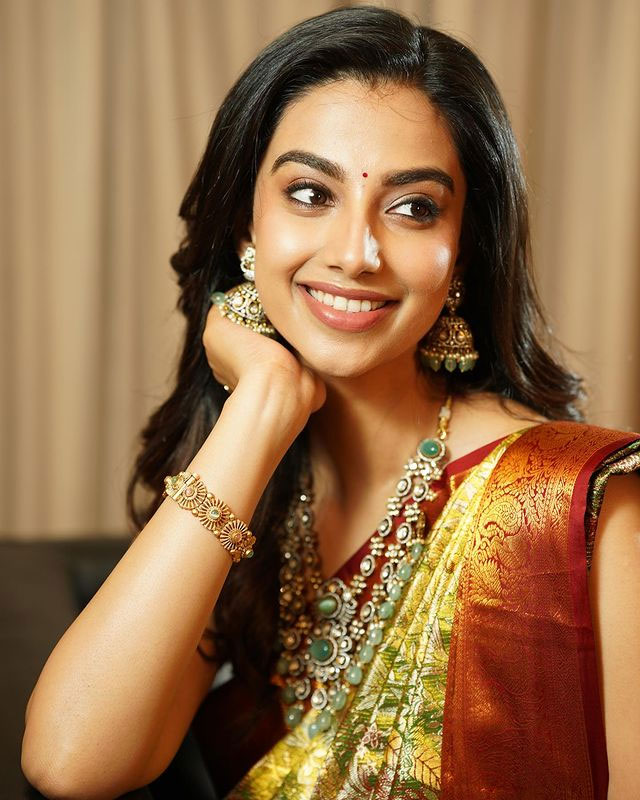 Delightful Meenakshi Dazzles In A Saree Delightful Meenakshi Dazzles In A Saree