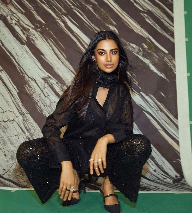 Delightful Meenakshi Dazzles In A Saree