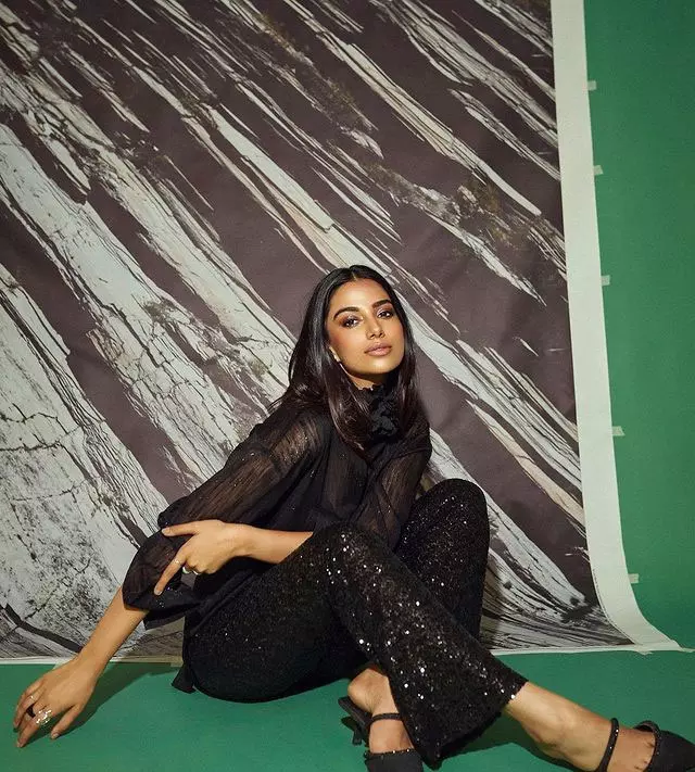 Delightful Meenakshi Dazzles In A Saree